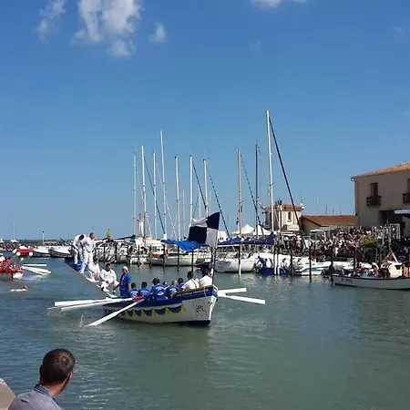 Des Muses : Havre De Paix Avec 3 Et Jardin Arbore A 2 Pas Du Centre 4*